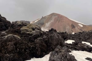 Reykjavík: Vandring i Landmannalaugar med foton och Tårarnas dal