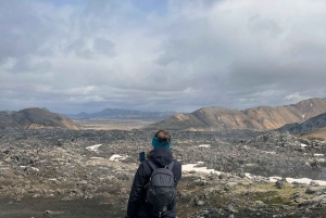 Reykjavík: Landmannalaugar og Tåredalen i firehjulstrækker