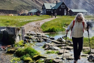 Reykjavík: Landmannalaugar og Tåredalen i firehjulstrækker