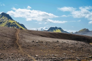 Reykjavík: 4 päivän opastettu vaellus Laugavegurilla