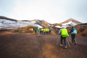 Reykjavík: 4 päivän opastettu vaellus Laugavegurilla