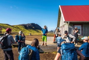 Reykjavík: 4 päivän opastettu vaellus Laugavegurilla