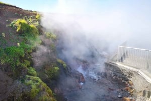 Reykjavik: Lava Cave, Hot Springs, and Waterfalls Tour