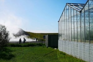 Reykjavik: Lava Cave, Hot Springs, Horses & Waterfalls Tour