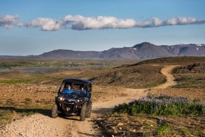 Reykjavik: Avventura in buggy nei campi di lava