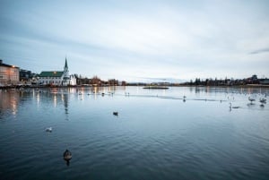Reykjavik: Local Food, Beer, and Chocolate Tour