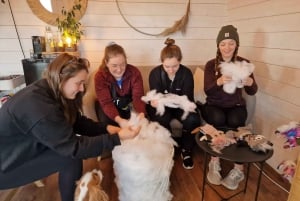 Reykjavik: Make an Icelandic wool monster