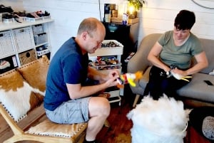 Reykjavik: Faz um monstro de lã islandês