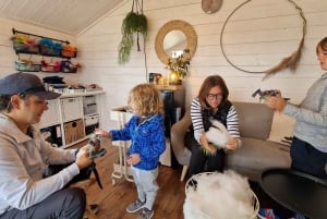 Reykjavik: Faz um monstro de lã islandês