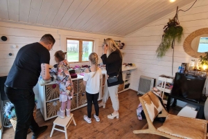 Reykjavik: Faz um monstro de lã islandês