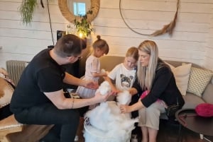 Reykjavik: Faz um monstro de lã islandês