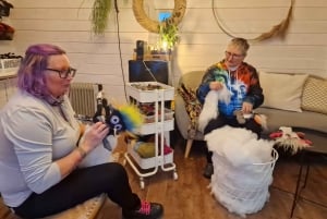 Reykjavik: Faz um monstro de lã islandês