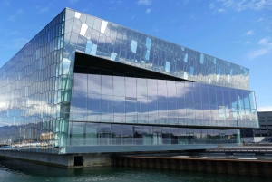 Reykjavik: Maritime History Walking Tour