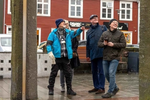 Reykjavik: Maritime History Walking Tour