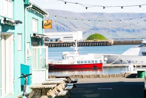 Reykjavik: Maritime History Walking Tour
