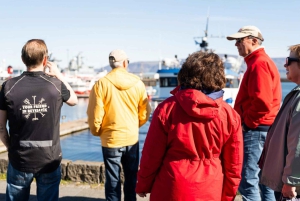 Reykjavik: Maritime History Walking Tour