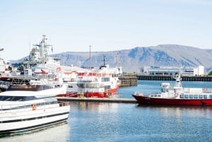 Reykjavik: Maritime History Walking Tour
