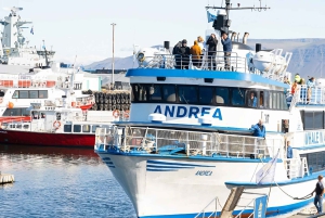 Reykjavik: Maritime History Walking Tour