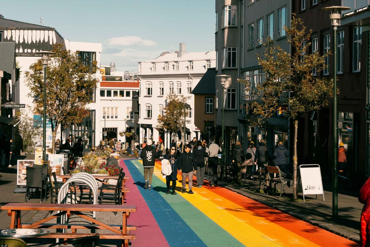Reykjavik: Meet and Greet with a Local Guide