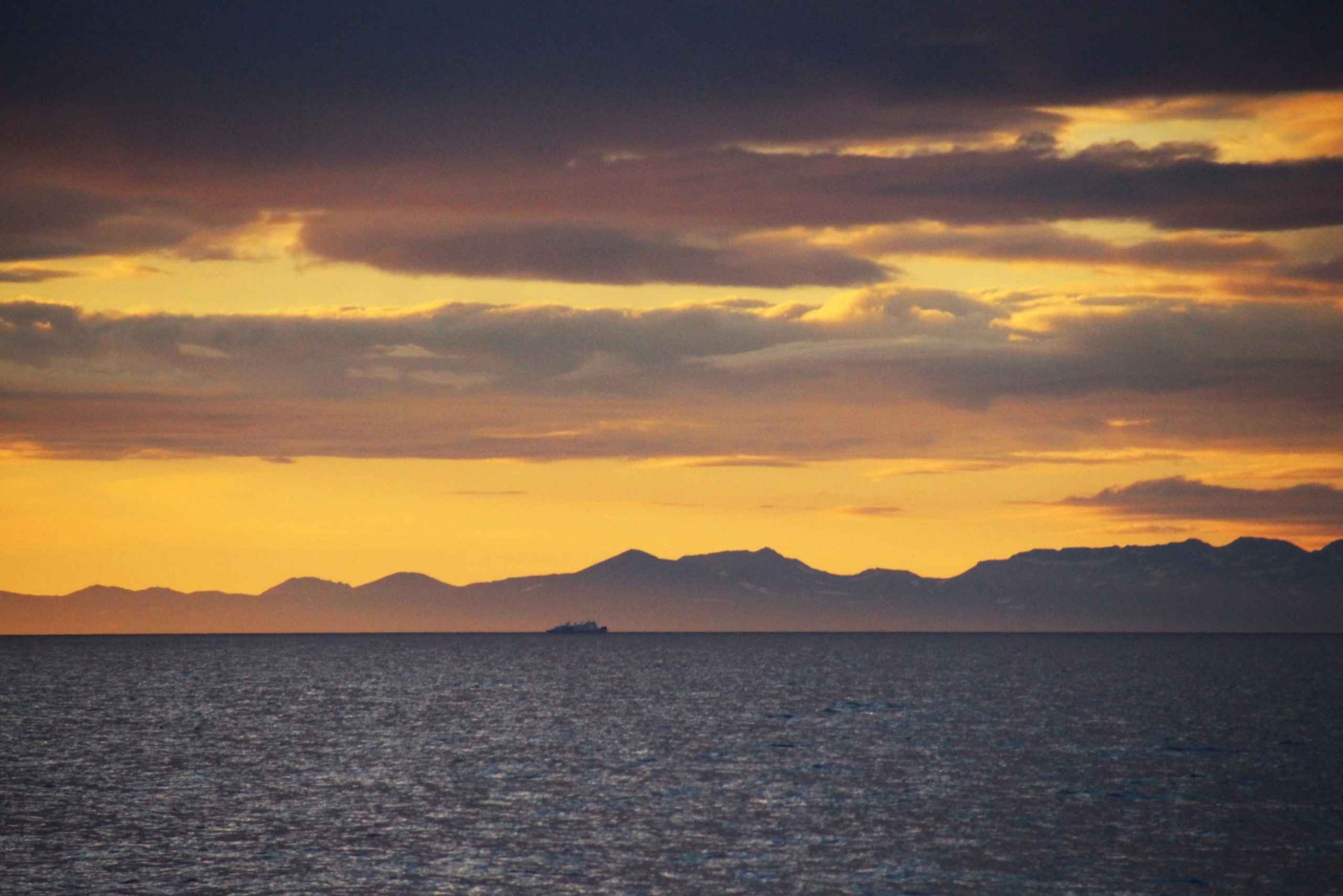 Reykjavík: Midnight Sun Whale Watching Cruise