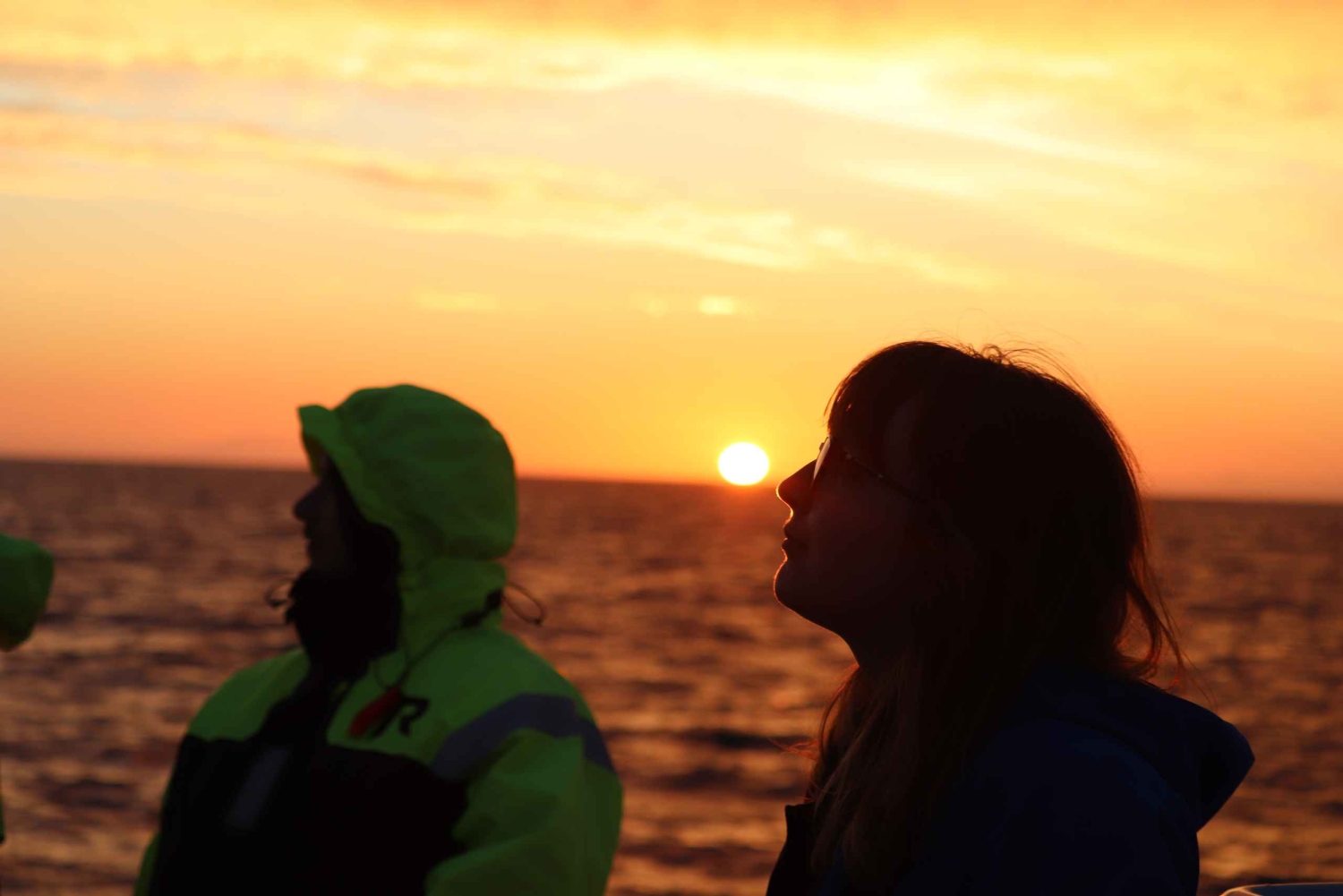 Reykjavík: Middernachtzon walvistour