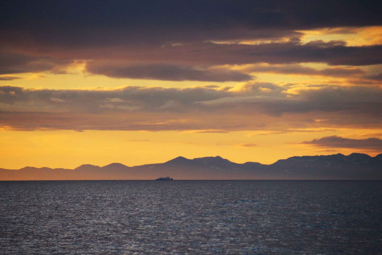 Reykjavík: Middernachtzon walvistour