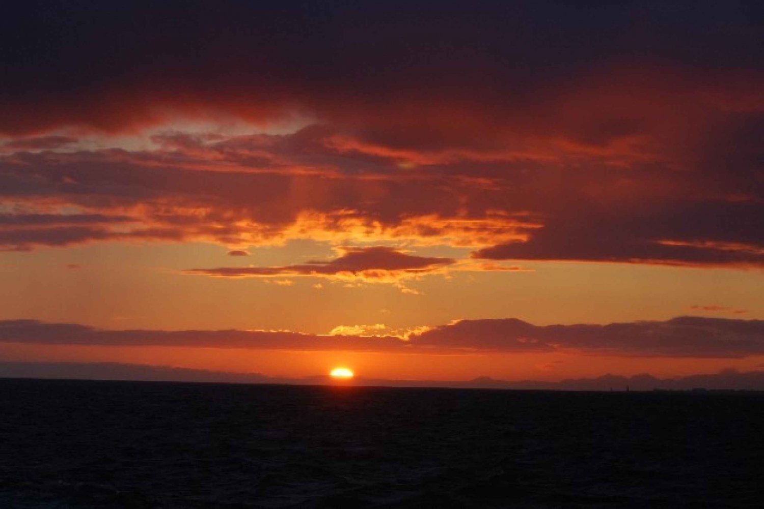 Reykjavik: Midnight Sun Whale Watching Tour