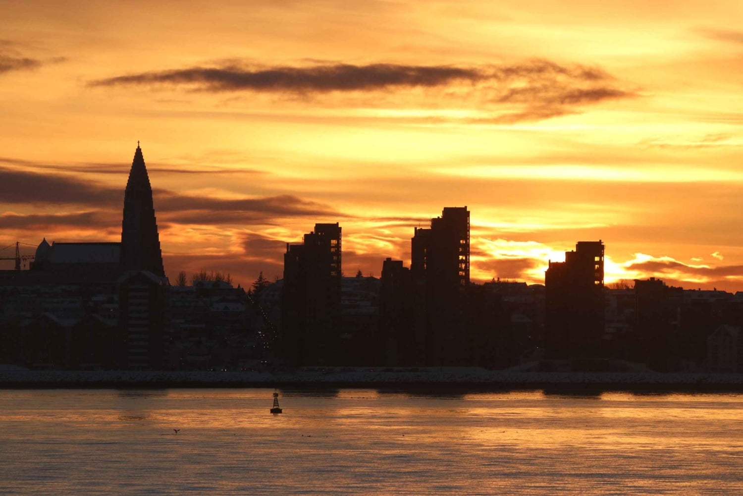 Reykjavik: Excursão de observação de baleias ao sol da meia-noite