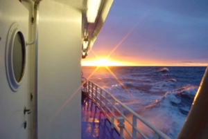 Reykjavik: Excursão de observação de baleias ao sol da meia-noite