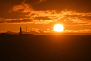 Reykjavik: Excursão de observação de baleias ao sol da meia-noite