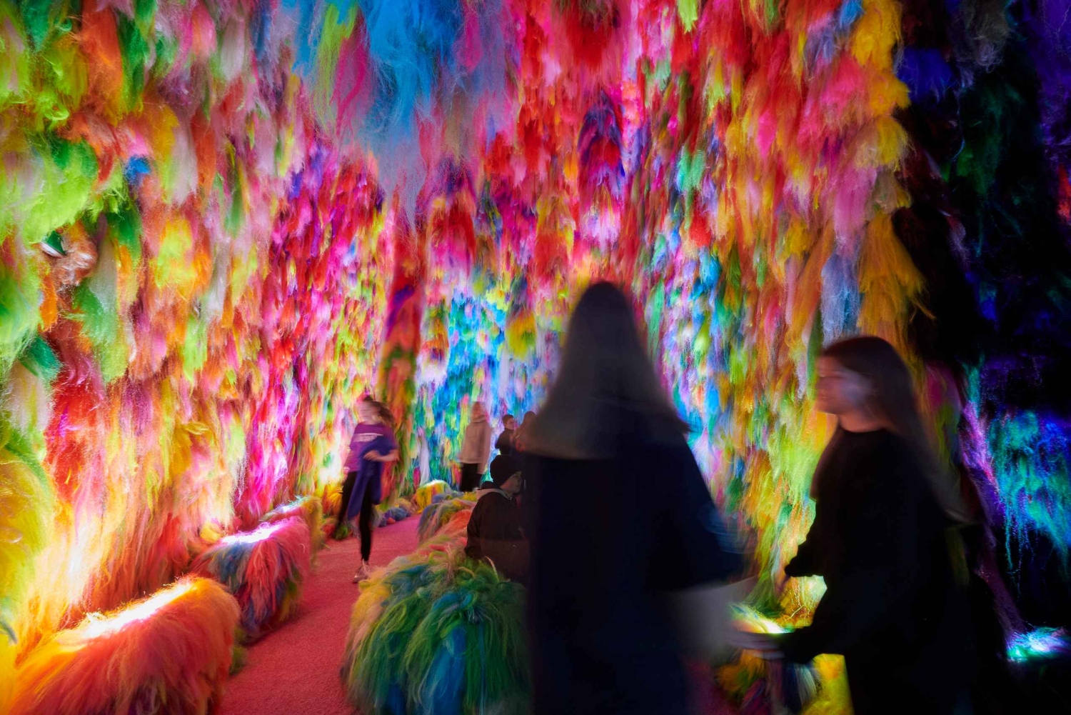 Reykjavík: Multisensorisk kunstinstallation Chromo Sapiens