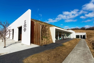 Reykjavík: Multisensorisk kunstinstallation Chromo Sapiens