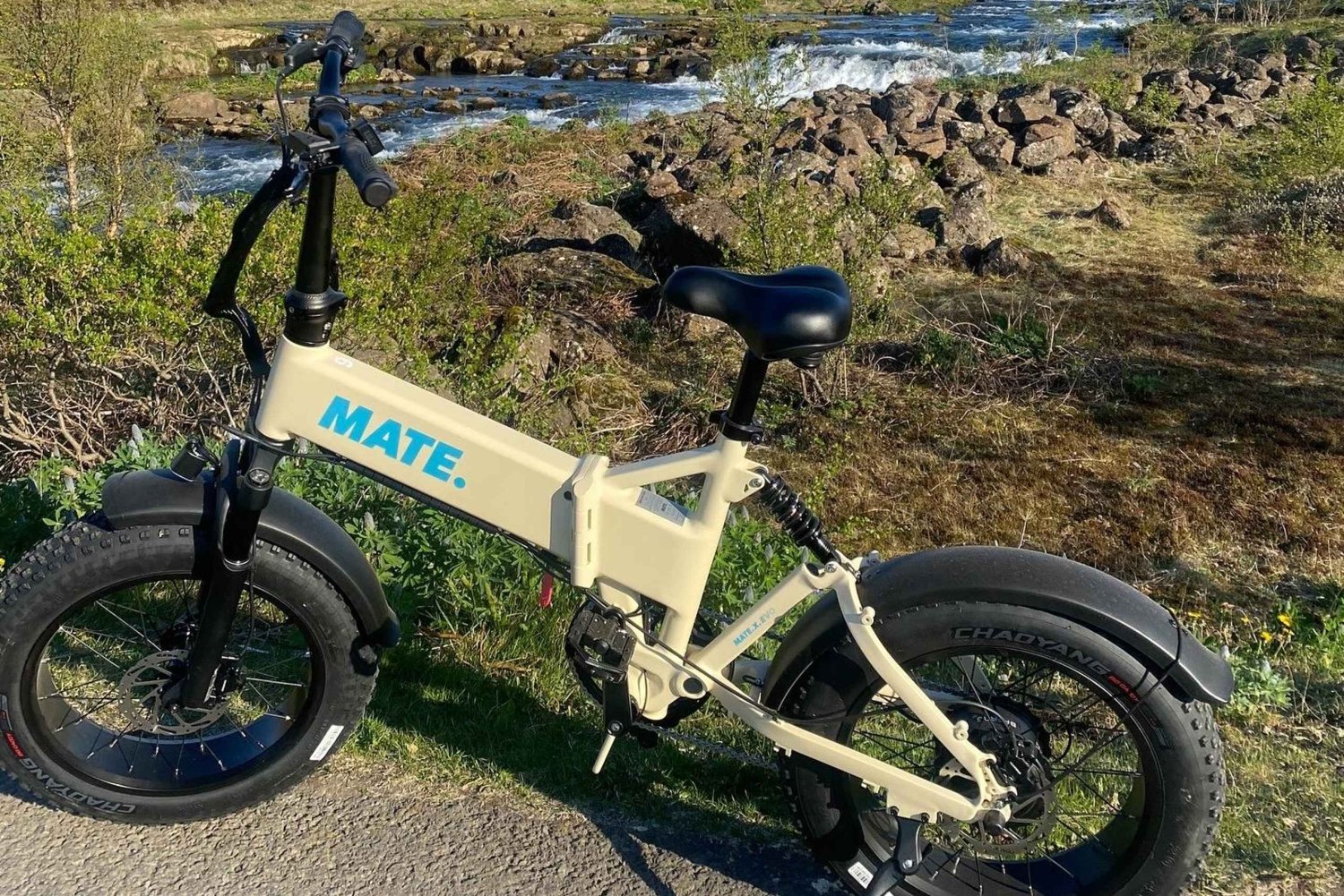Reikiavik: ruta en bicicleta por la naturaleza desde la playa de Nauthólsvík