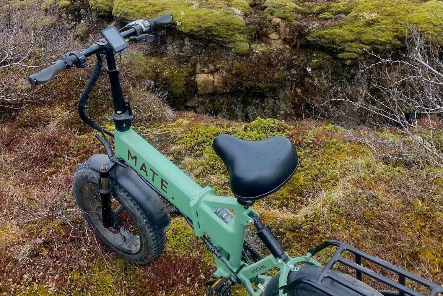 Reykjavik: Naturcykeltur fra Nauthólsvík-stranden