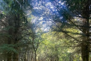 Reykjavik: Nature Loop Bike Tour from Nauthólsvík Beach