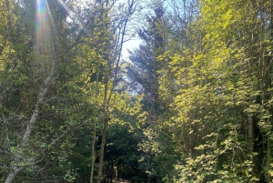 Reykjavik: Nature Loop Bike Tour from Nauthólsvík Beach