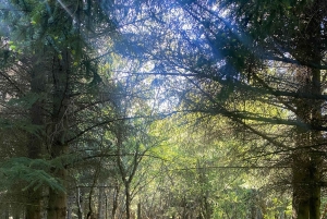 Reykjavik: Naturcykeltur fra Nauthólsvík-stranden