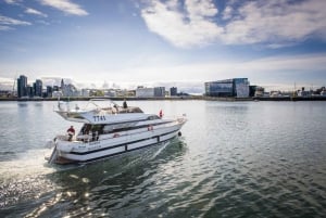 Reykjavík: New Year's Eve Northern Lights Yacht Cruise