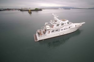 Reykjavik: Nytårsfyrværkeri ved midnatskrydstogt