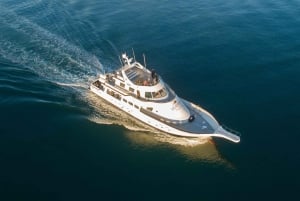 Reykjavik: Nytårsfyrværkeri ved midnatskrydstogt