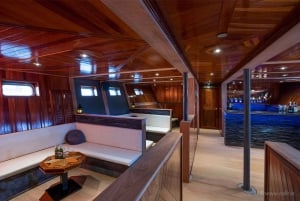 Reykjavik: Nytårsfyrværkeri ved midnatskrydstogt