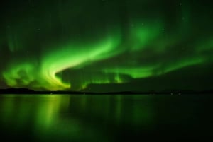 Reykjavik: Northern Lights Evening Adventure Guided Tour