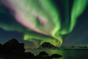 Reykjavik: Northern Lights Evening Adventure Guided Tour