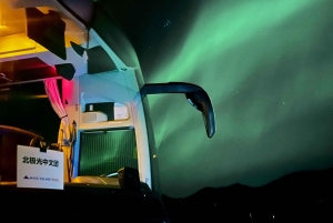 Reykjavik: autocarro confortável para ver as luzes do norte com presente local