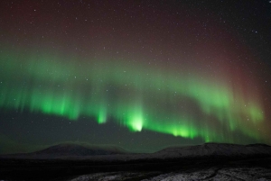 Reykjavik: autocarro confortável para ver as luzes do norte com presente local
