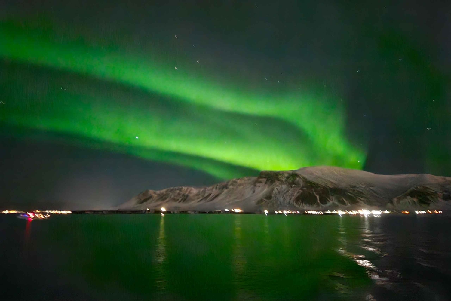 レイキャビク：オーロラクルーズ