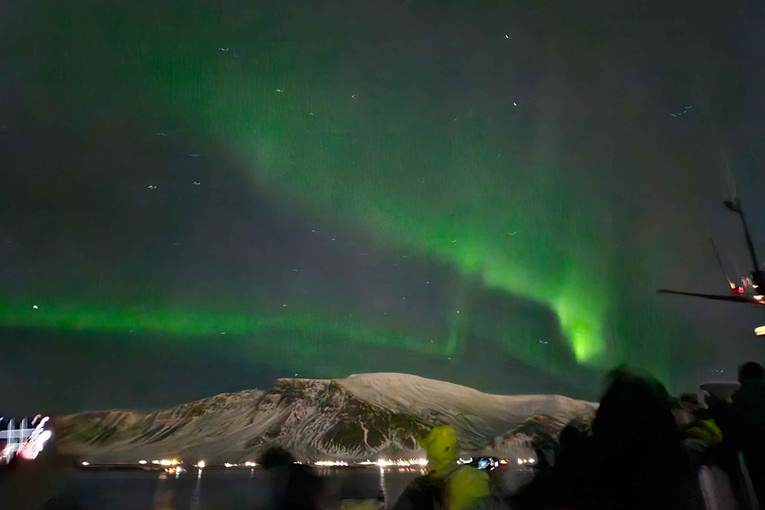 レイキャビク：オーロラクルーズ