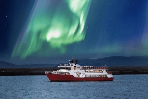 レイキャビク：オーロラクルーズ