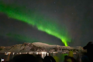 レイキャビク：オーロラクルーズ