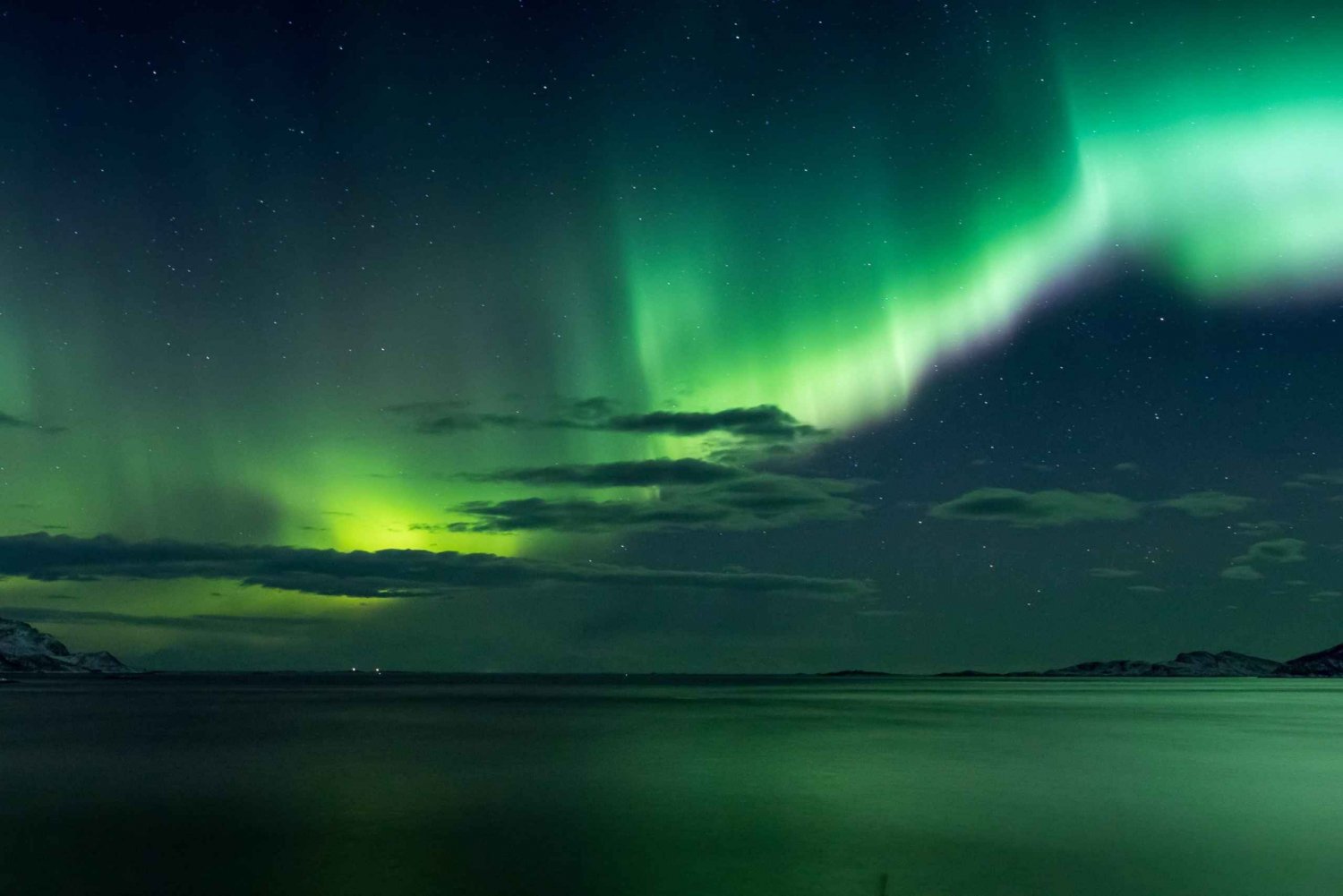 Reykjavik: Magical Northern Lights Tour with Hot Chocolate